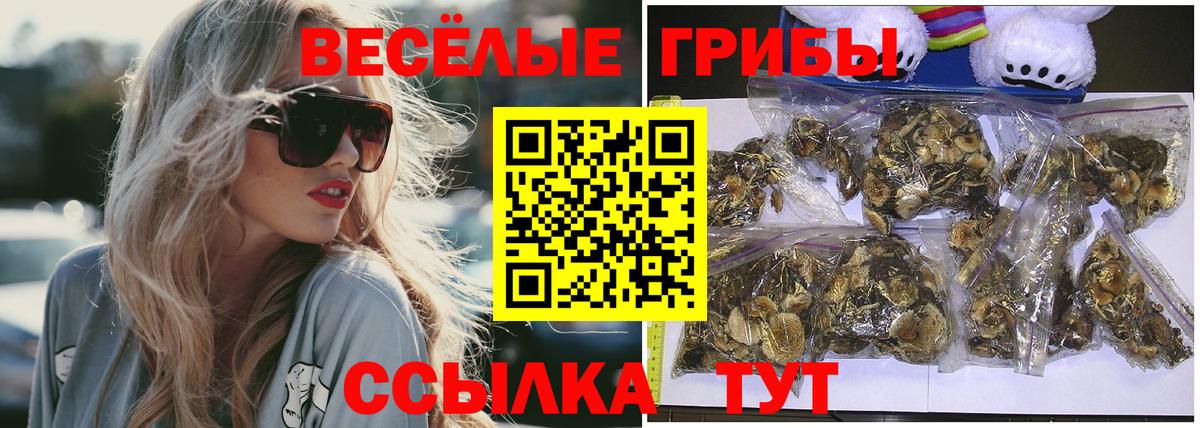 Галлюциногенные грибы мицелий Урюпинск